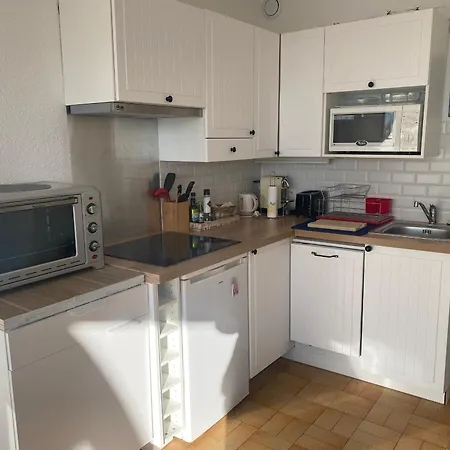 Port Leucate: T2 Climatise, Wifi, Animaux Ok, Parking Securise - Fr-1-798-52 * Leucate